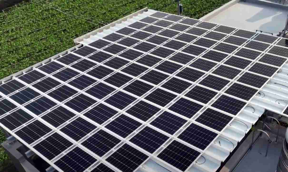 汇旺支付SunSteel光电浪板升级双玻结构，，，以提升机械负载强度及气候耐候度，，，可广泛运用于多元场域